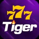777tiger Casino Ultimate v4.4.6